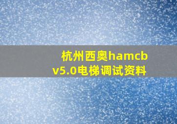 杭州西奥hamcb v5.0电梯调试资料